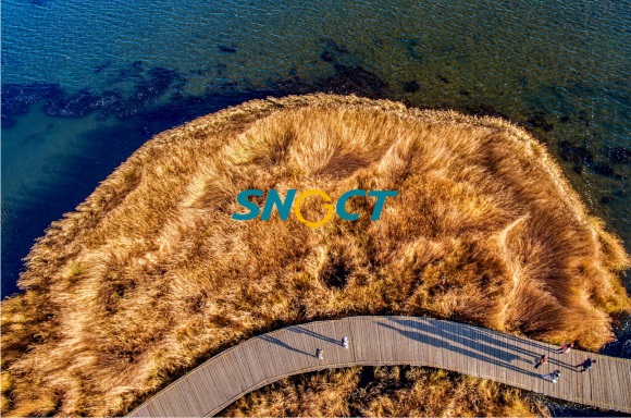 海島文旅開發(fā)如何保護(hù)周邊海洋生態(tài)環(huán)境？