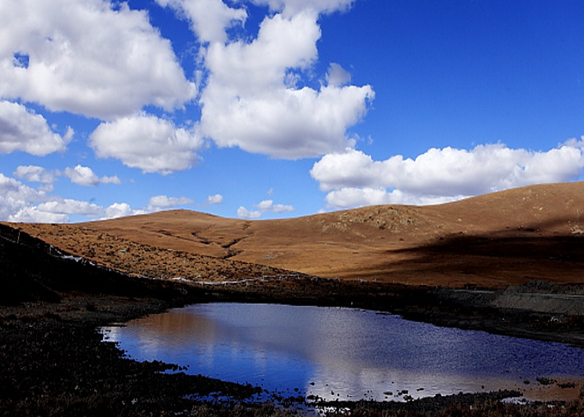 1607656606457642.png wKgB6lSjcW2ADEIgAAV-4eyV5Gg003.png