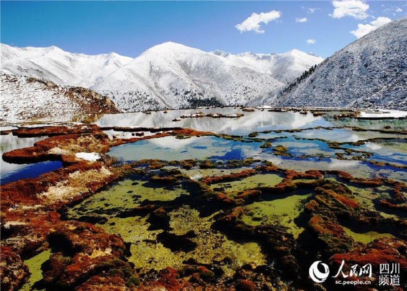 1611296969717124.jpg LOCAL202101210901000026255901477.jpg