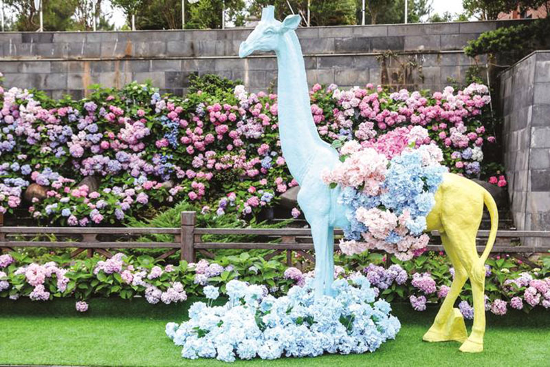 湖南：長沙縣舉行首屆繡球花文化旅游節，以文旅融合助推鄉村振興發展之路！