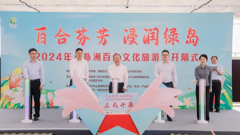江蘇：2024年八卦洲百合文化旅游季正式啟動，進一步助推八卦洲現代農業產業振興！